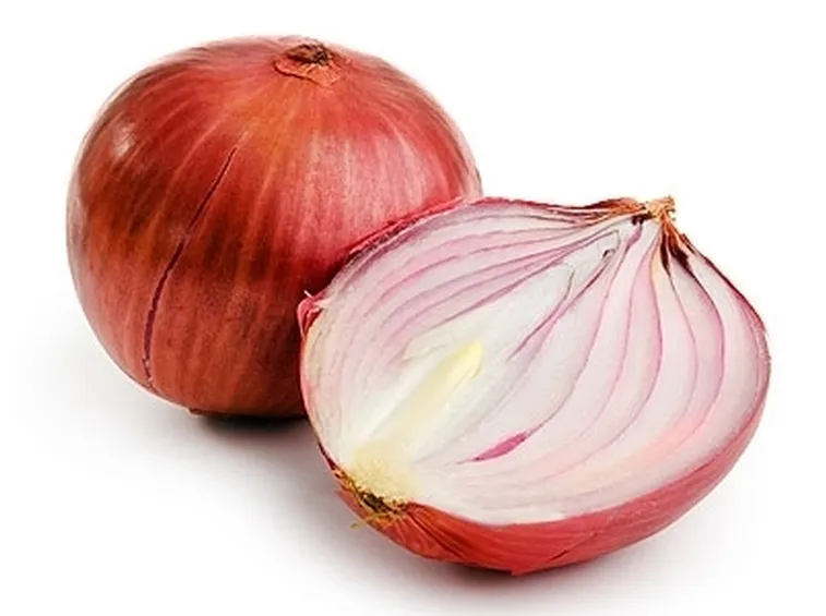 Cipolla