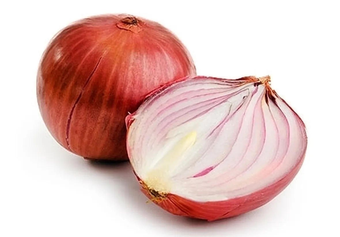 Cipolla