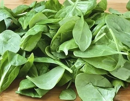Coltivare gli spinaci