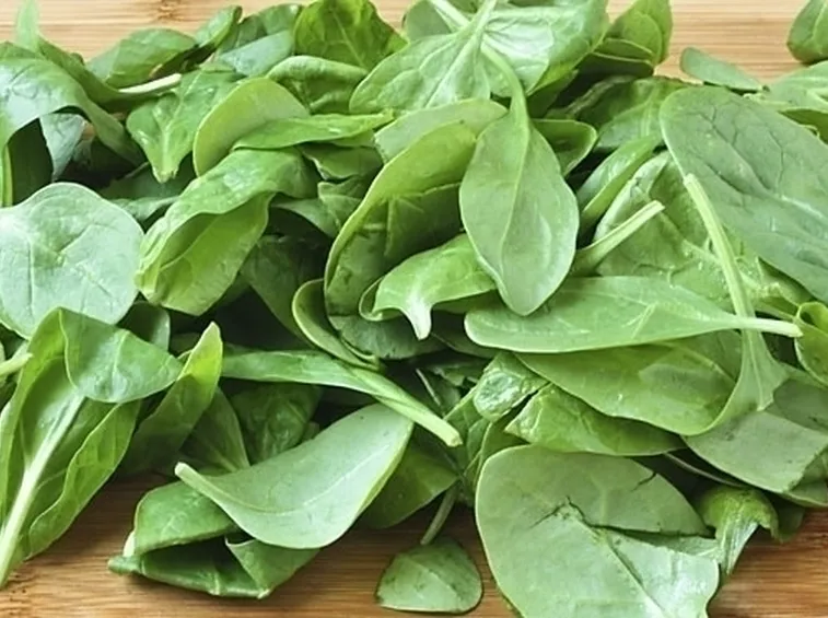 Coltivare gli spinaci