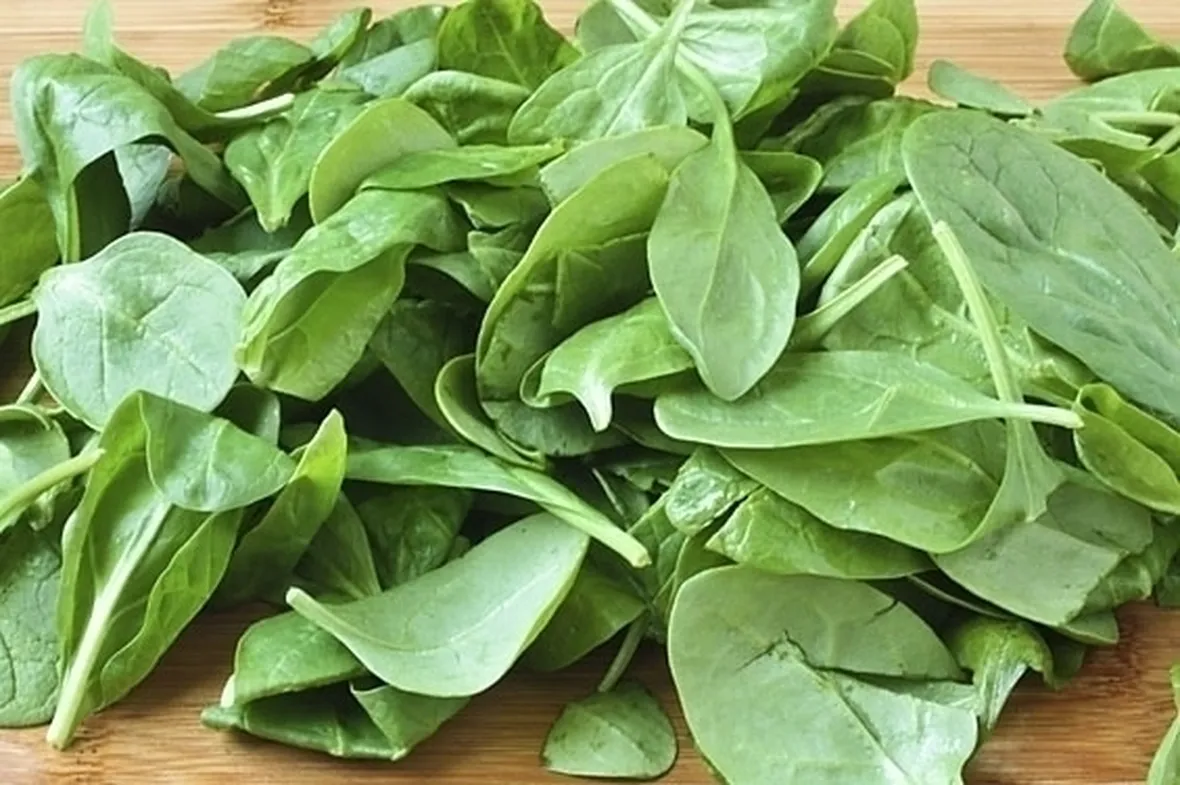 Coltivare gli spinaci
