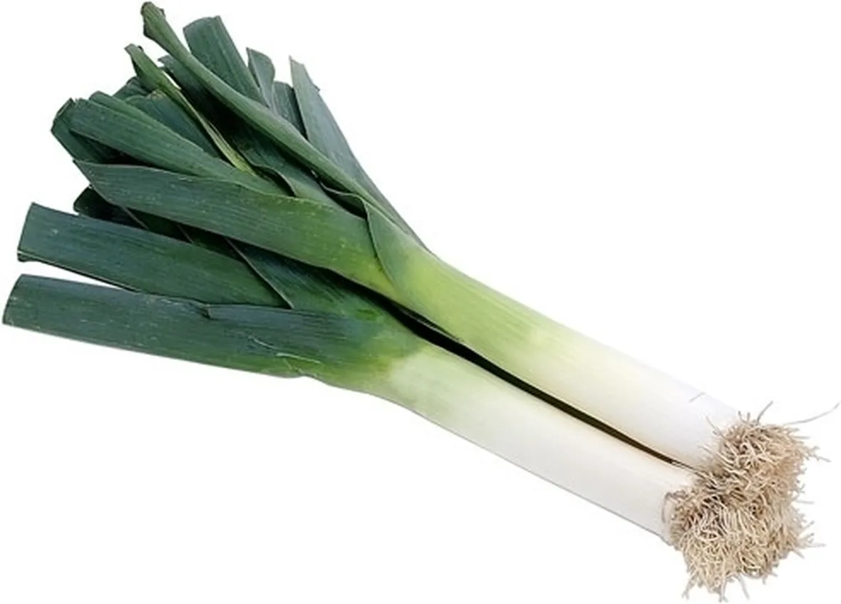 Come seminare ed annaffiare il porro