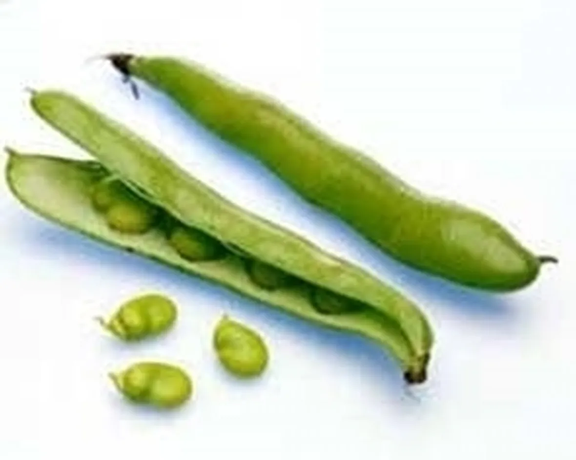 Conservare i fagiolini al naturale