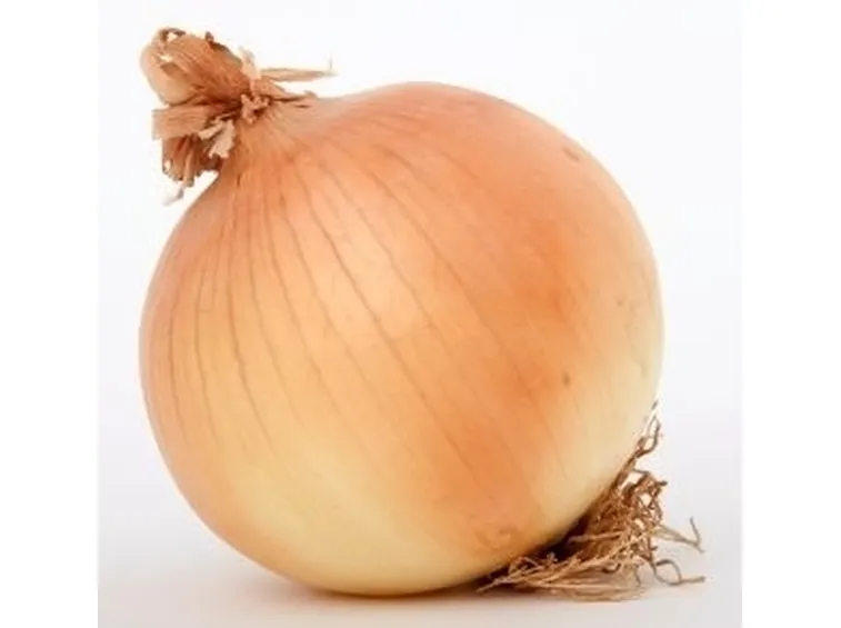 Domanda : aglio e cipolla