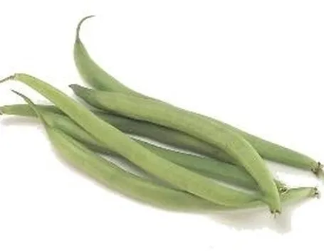 Fagioli-21