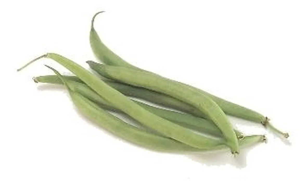 Fagioli-21