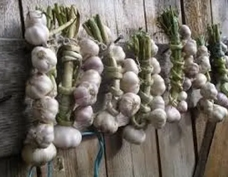 Fiori con tovaglioli di carta

