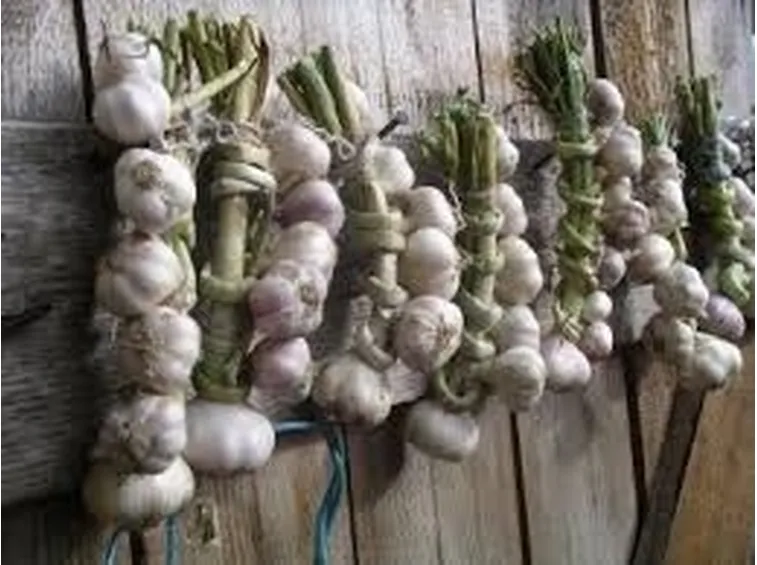 Fiori con tovaglioli di carta

