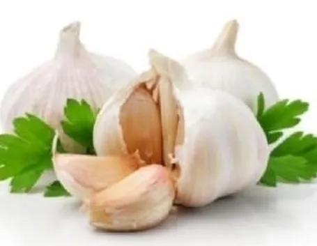Gli utilizzi dell'aglio