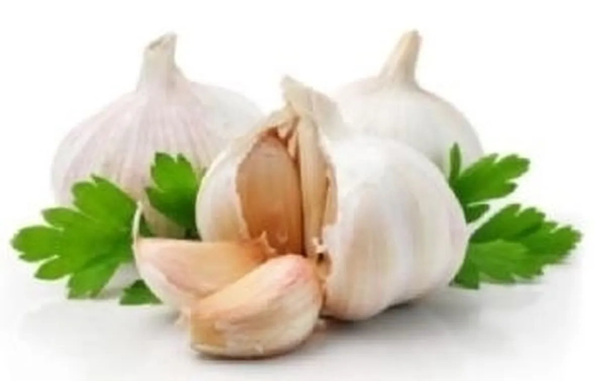 Gli utilizzi dell'aglio