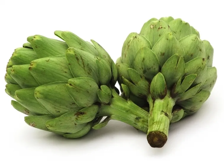 I principi attivi dell'estratto secco di carciofo