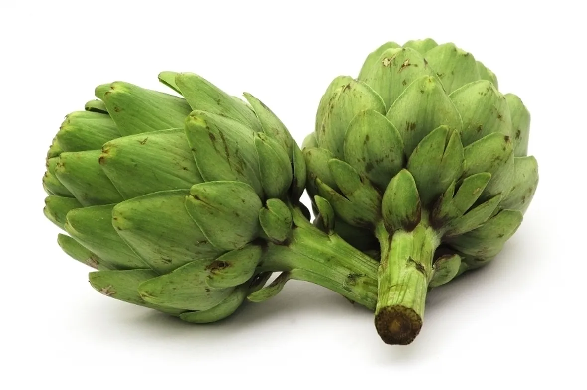 I principi attivi dell'estratto secco di carciofo