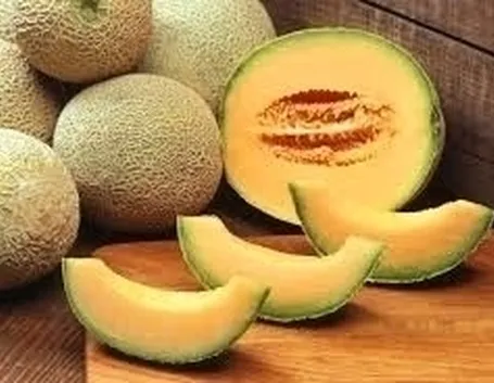 Melone-28