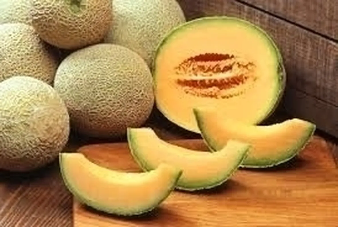 Melone-28