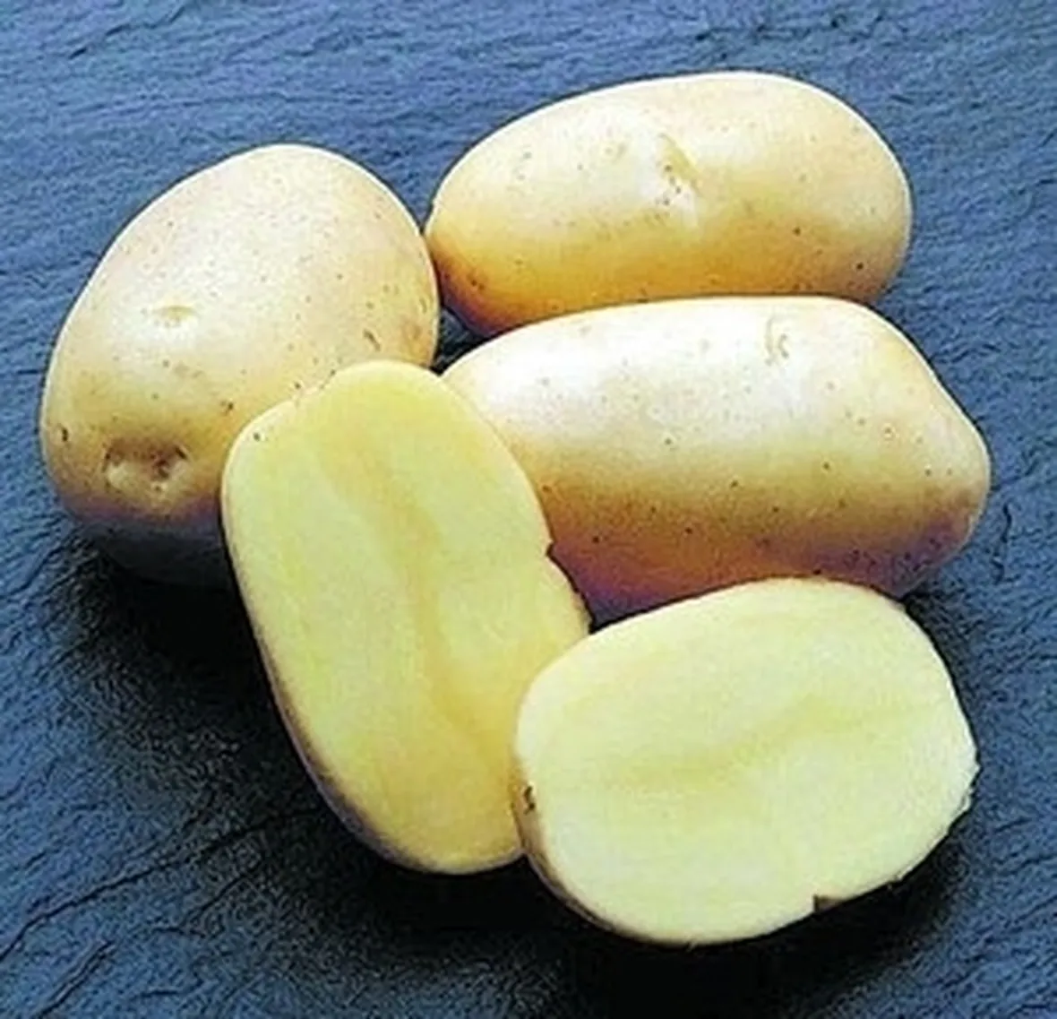 Patata-12