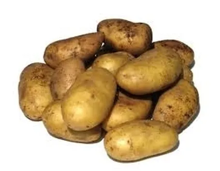 Patata-20
