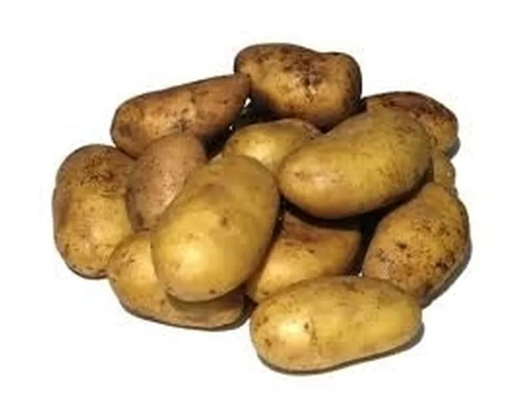 Patata-20