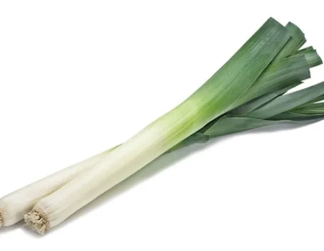 Porro-19