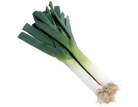 Porro-29