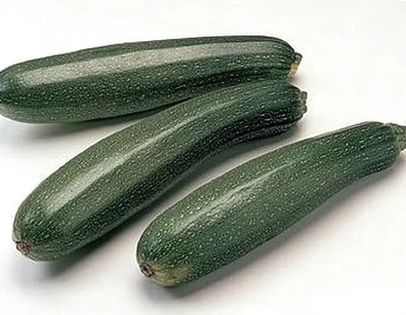 Risposta : Malattia della zucchina