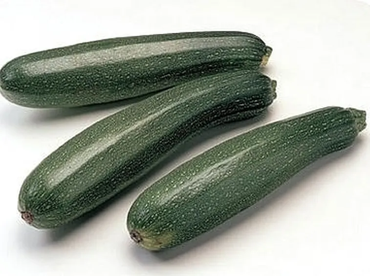 Risposta : Malattia della zucchina