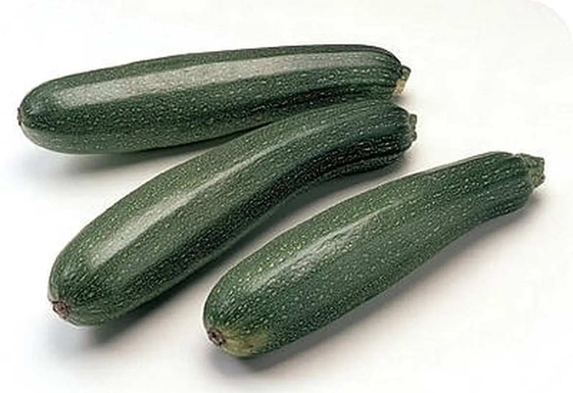 Risposta : Malattia della zucchina