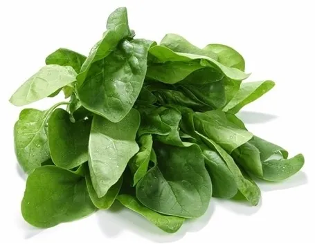 Spinaci-17