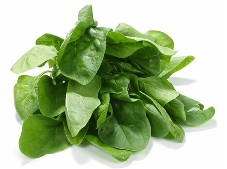 Spinaci-17