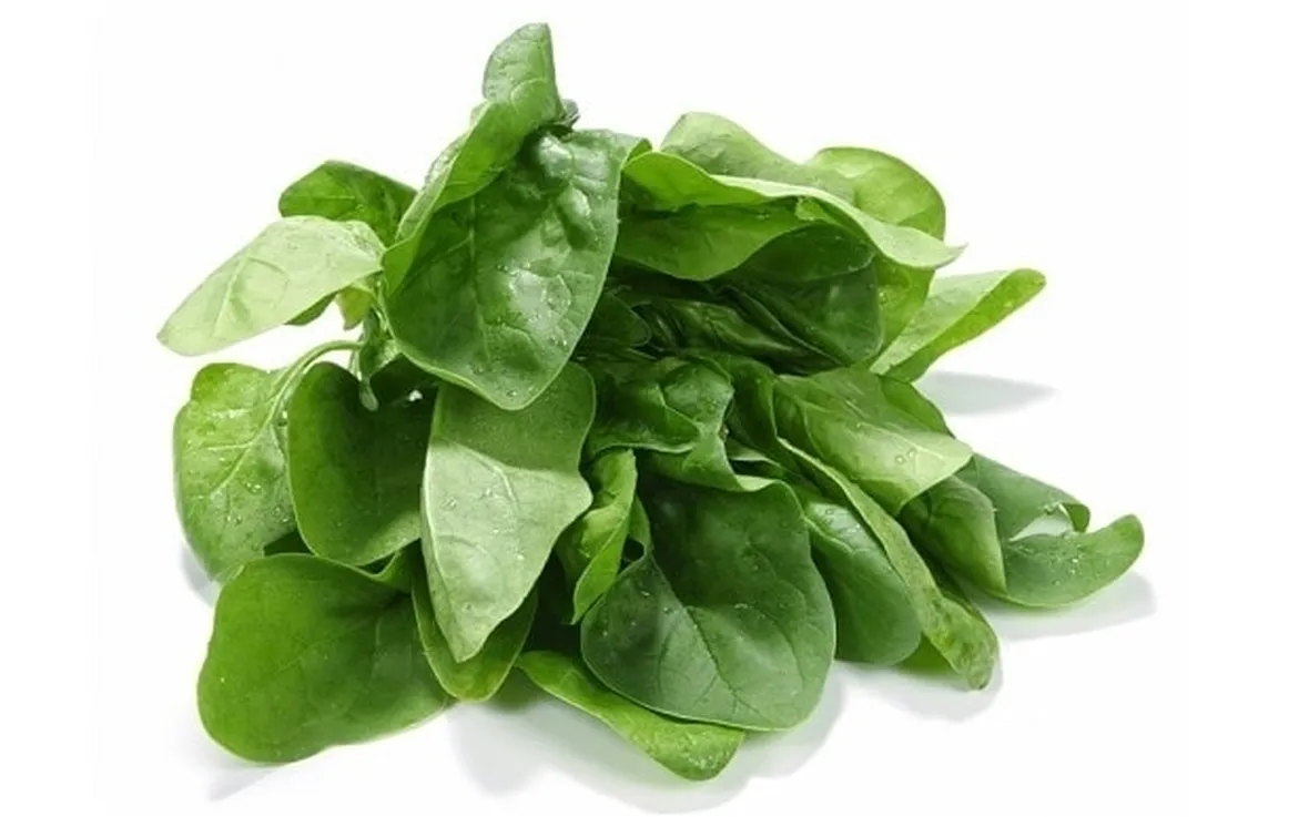 Spinaci-17