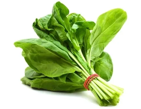 Spinaci-20
