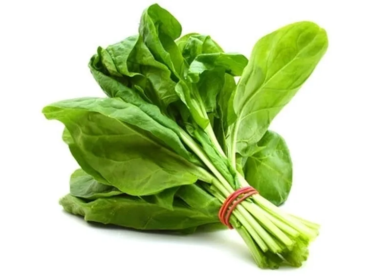 Spinaci-20