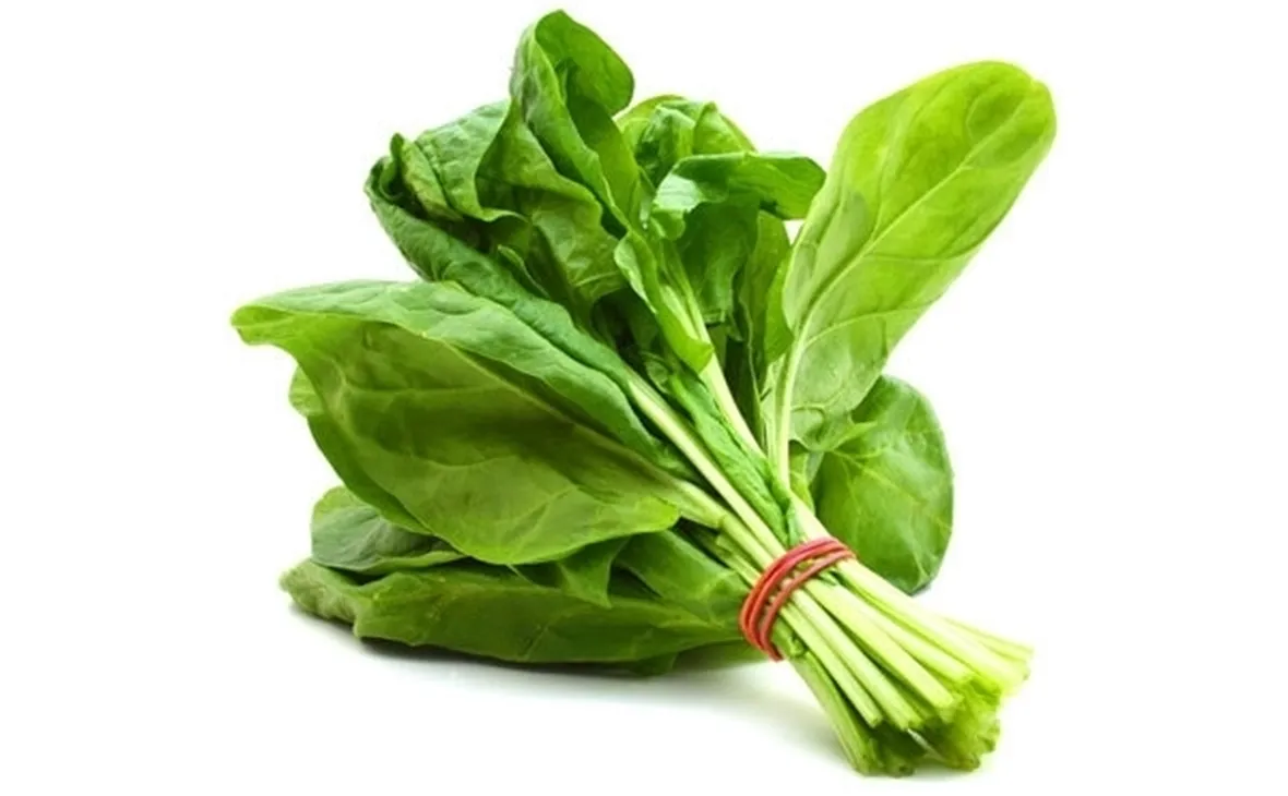 Spinaci-20