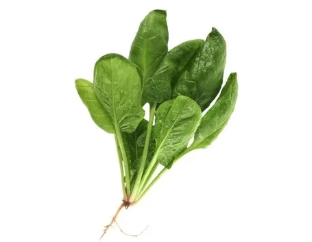 Spinaci-21