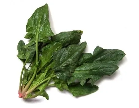 Spinaci-27