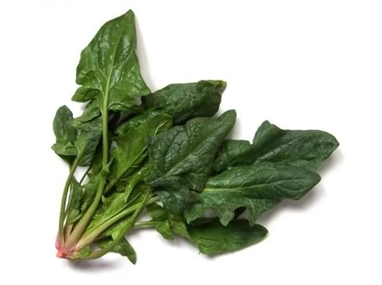 Spinaci-27