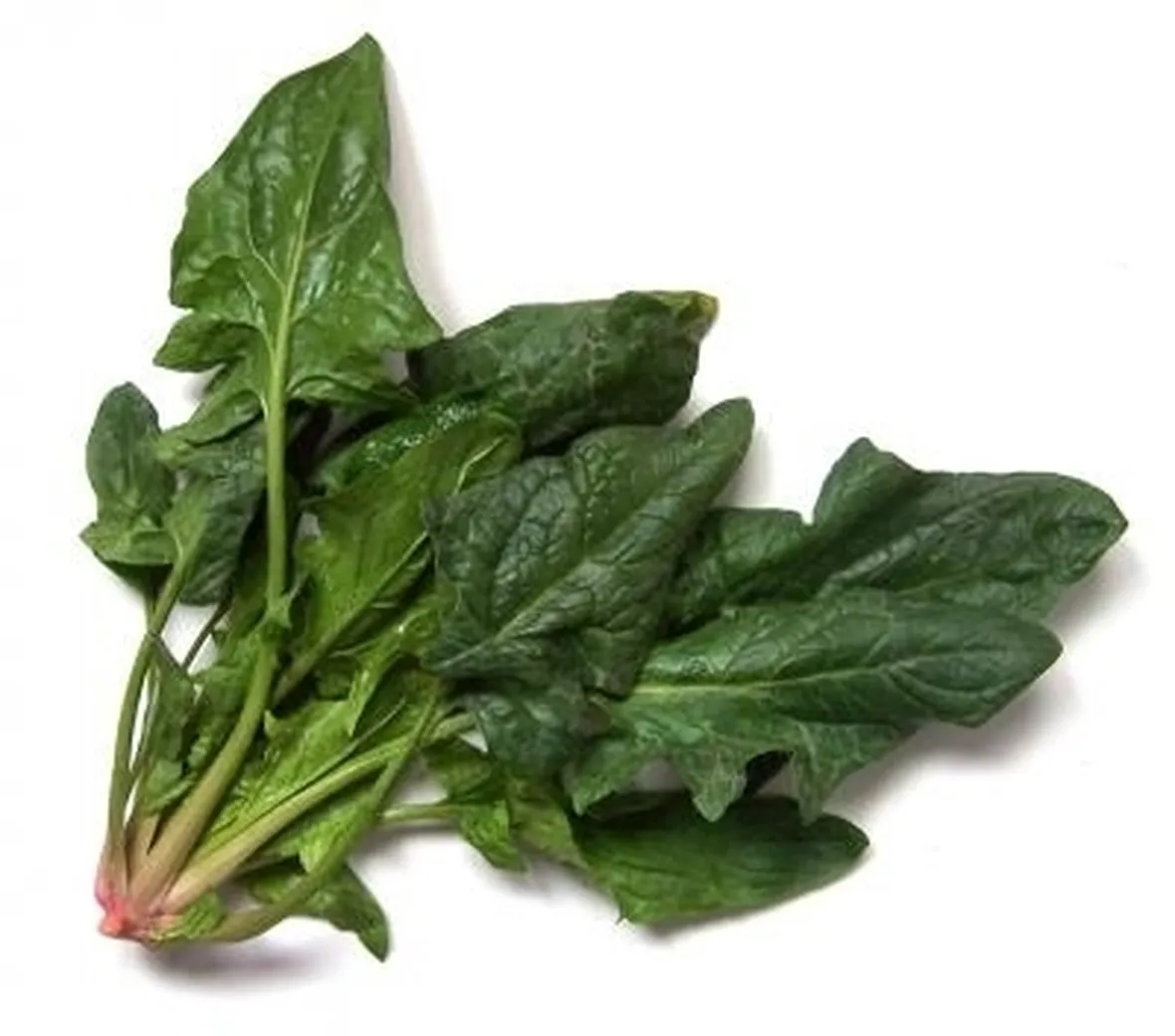 Spinaci-27