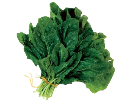 Spinaci-28
