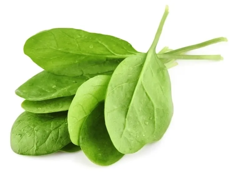 Spinaci-29