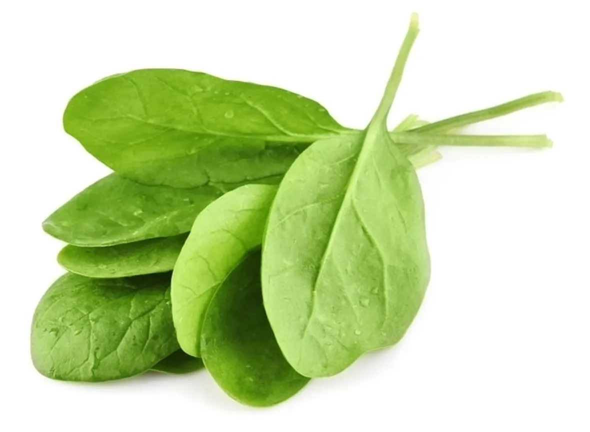 Spinaci-29