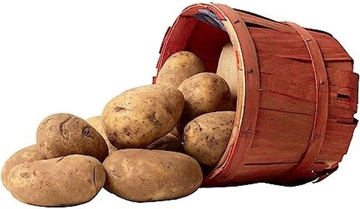 Stagionalità della patata