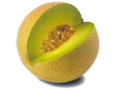 Trapianto melone