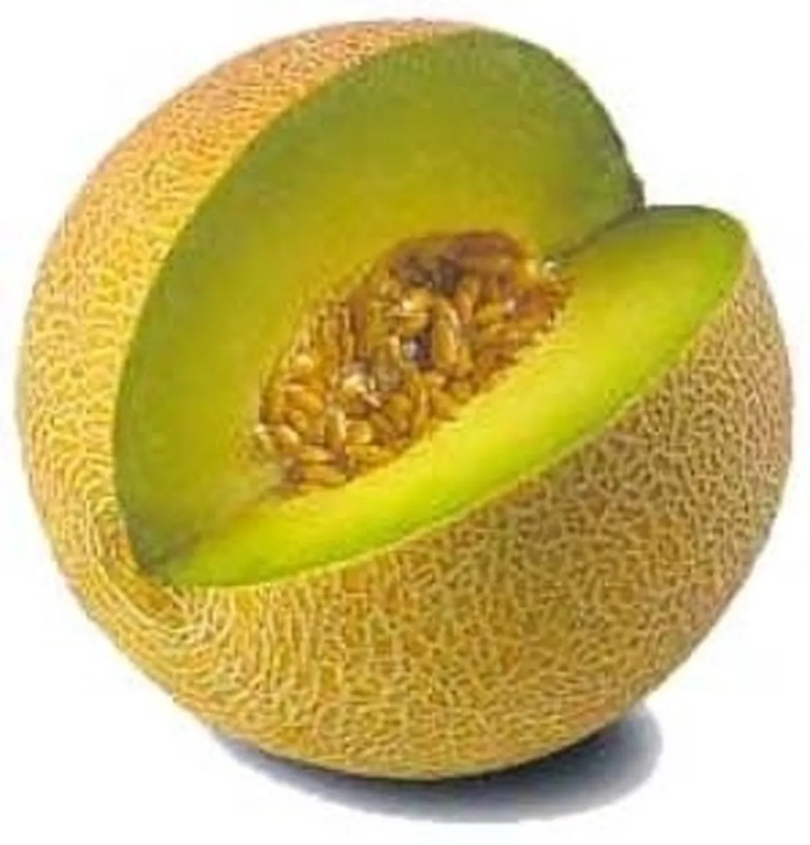 Trapianto melone