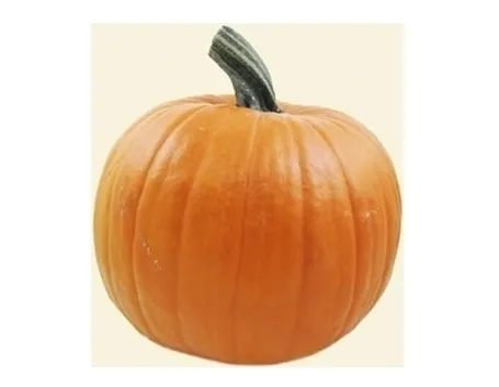 Zucca-13
