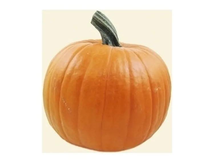 Zucca-13