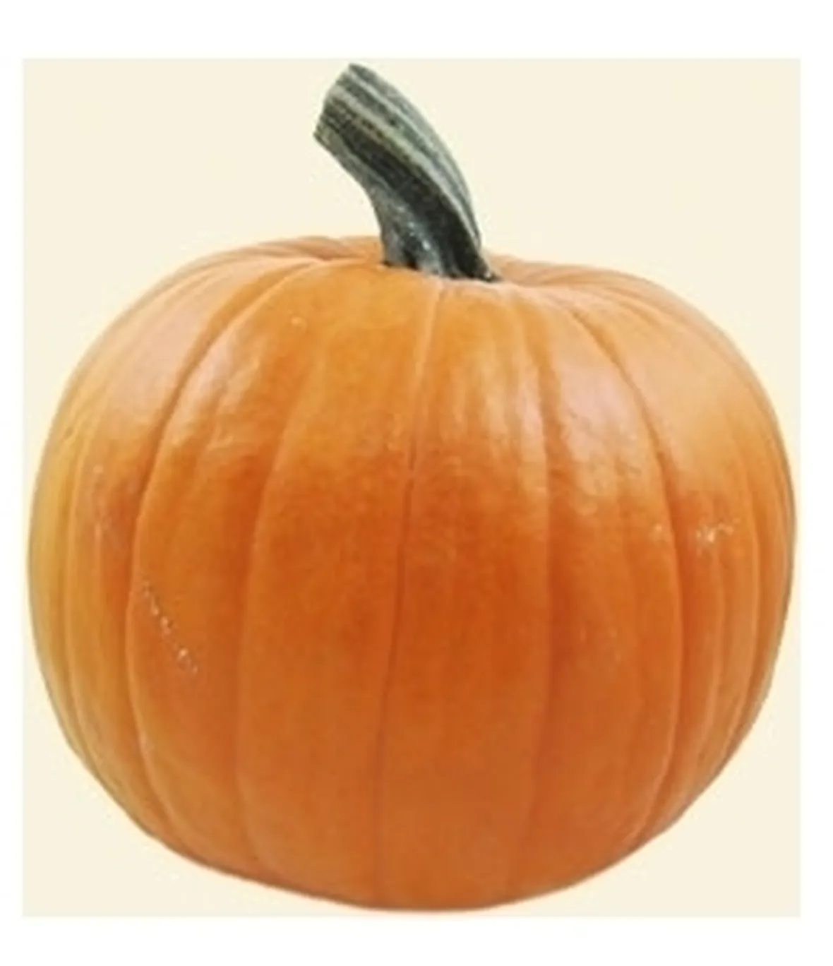 Zucca-13