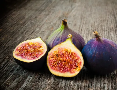 ficus carica
