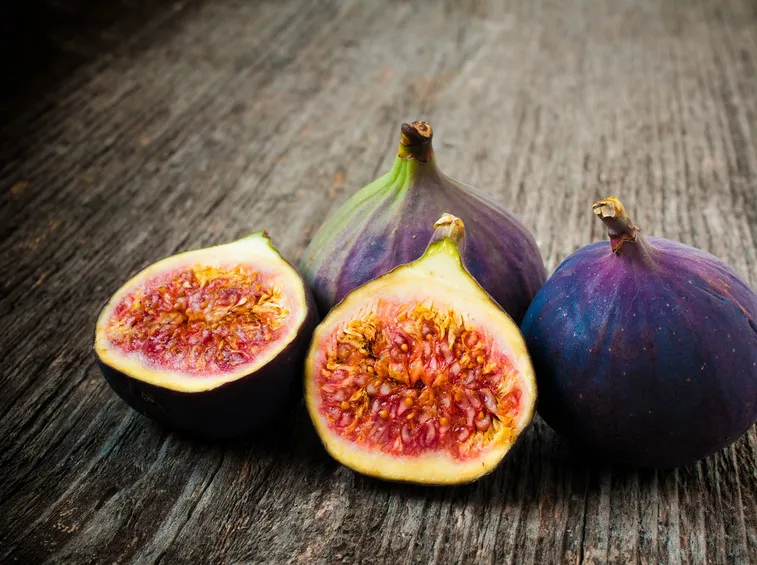 ficus carica