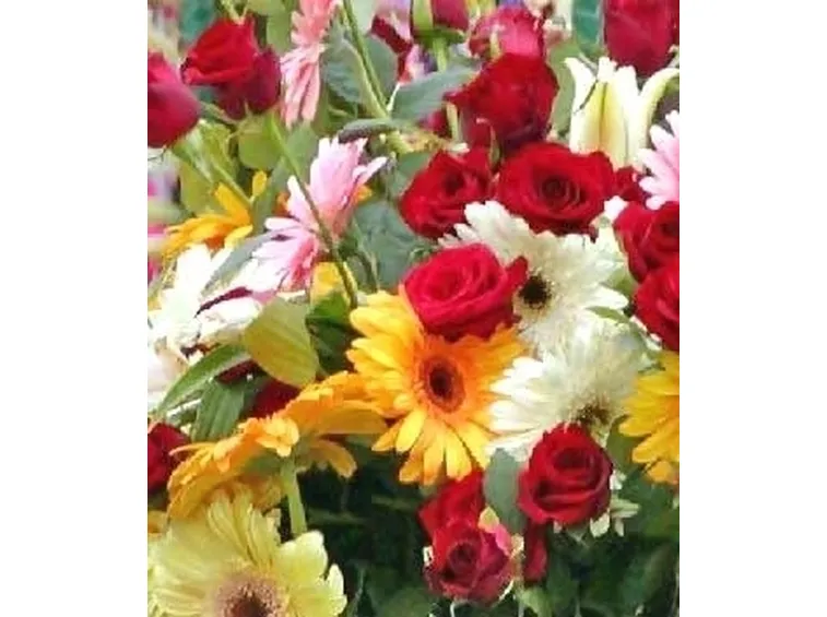 Quale fiore scegliere