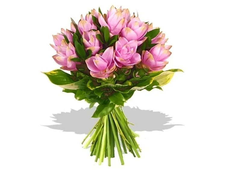 significato dei fiori-10