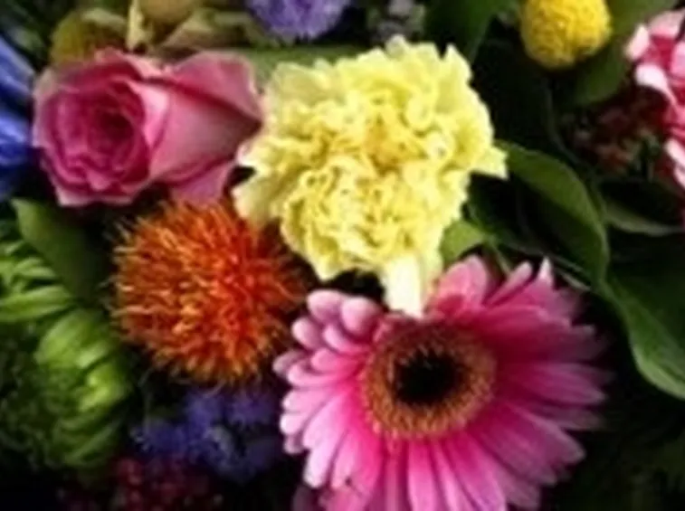 Significato dei fiori

